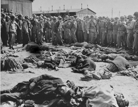 Les lois de la jungle ont abouti au fascisme