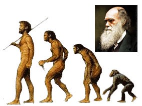 Une brève histoire de la théorie