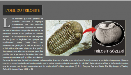 La vie est apparue sur terre de manière soudaine et sous une forme complexe